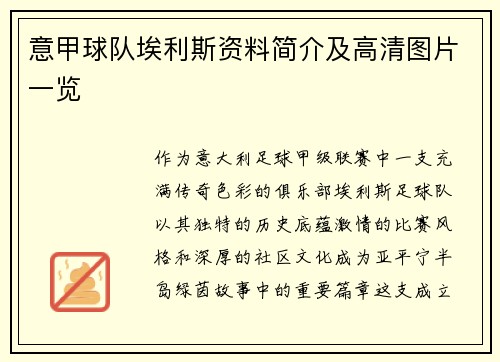 意甲球队埃利斯资料简介及高清图片一览